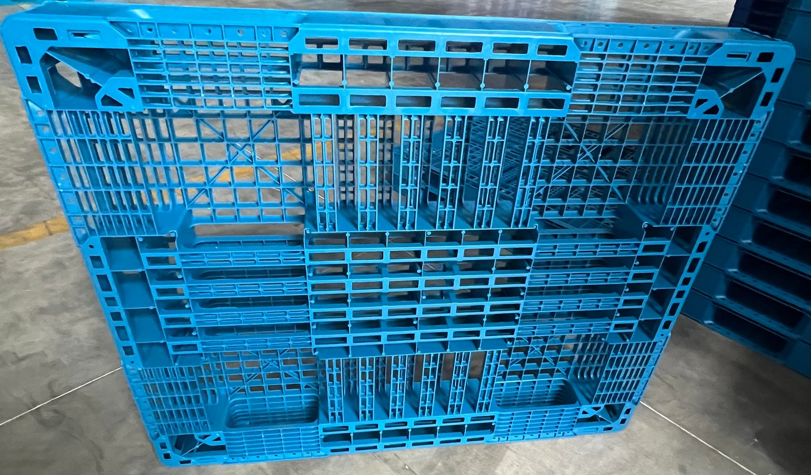 Plastic Pallet T-5 Blue (1300x1100x120 mm)